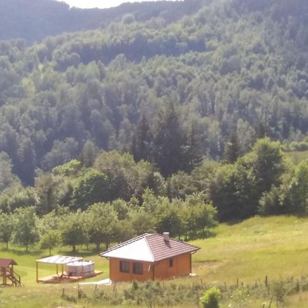 Turizam Koturovic Bed & Breakfast Ivanjica Bagian luar foto