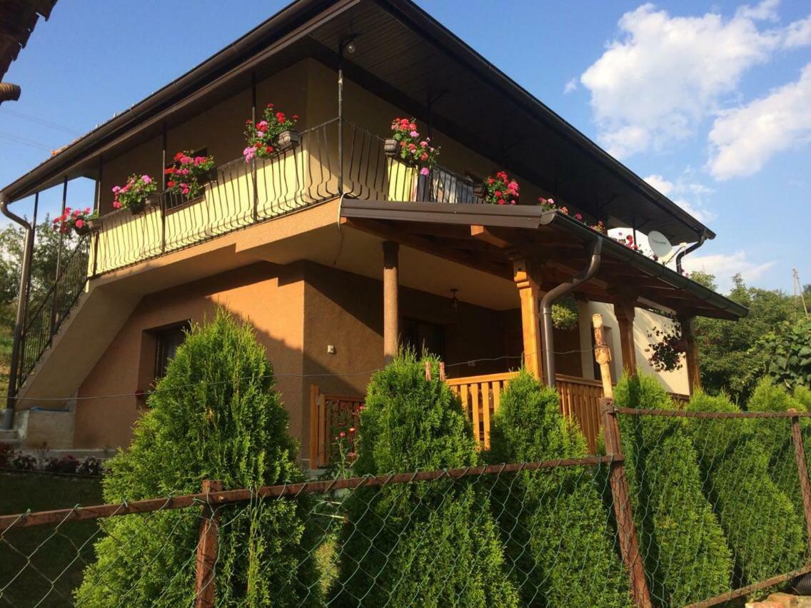 Turizam Koturovic Bed & Breakfast Ivanjica Bagian luar foto