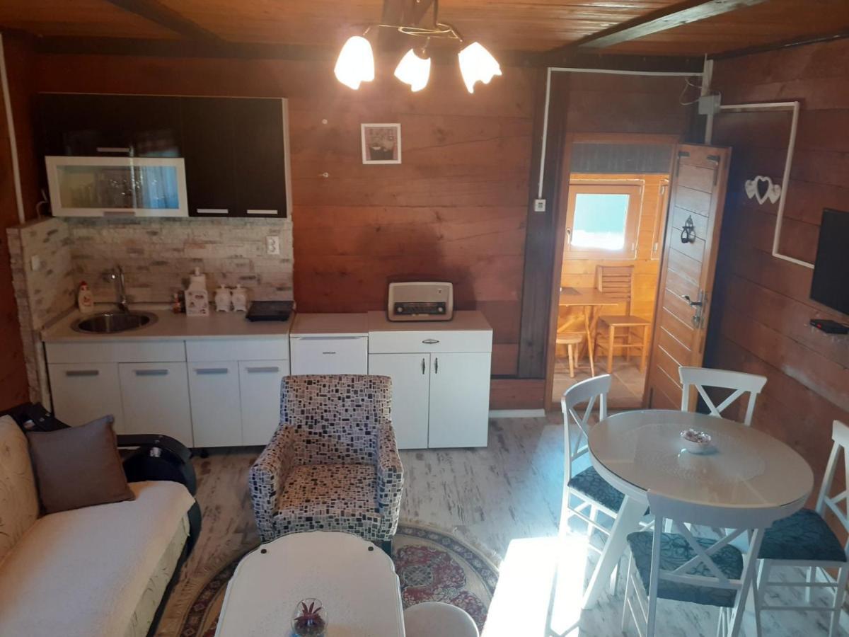 Turizam Koturovic Bed & Breakfast Ivanjica Bagian luar foto