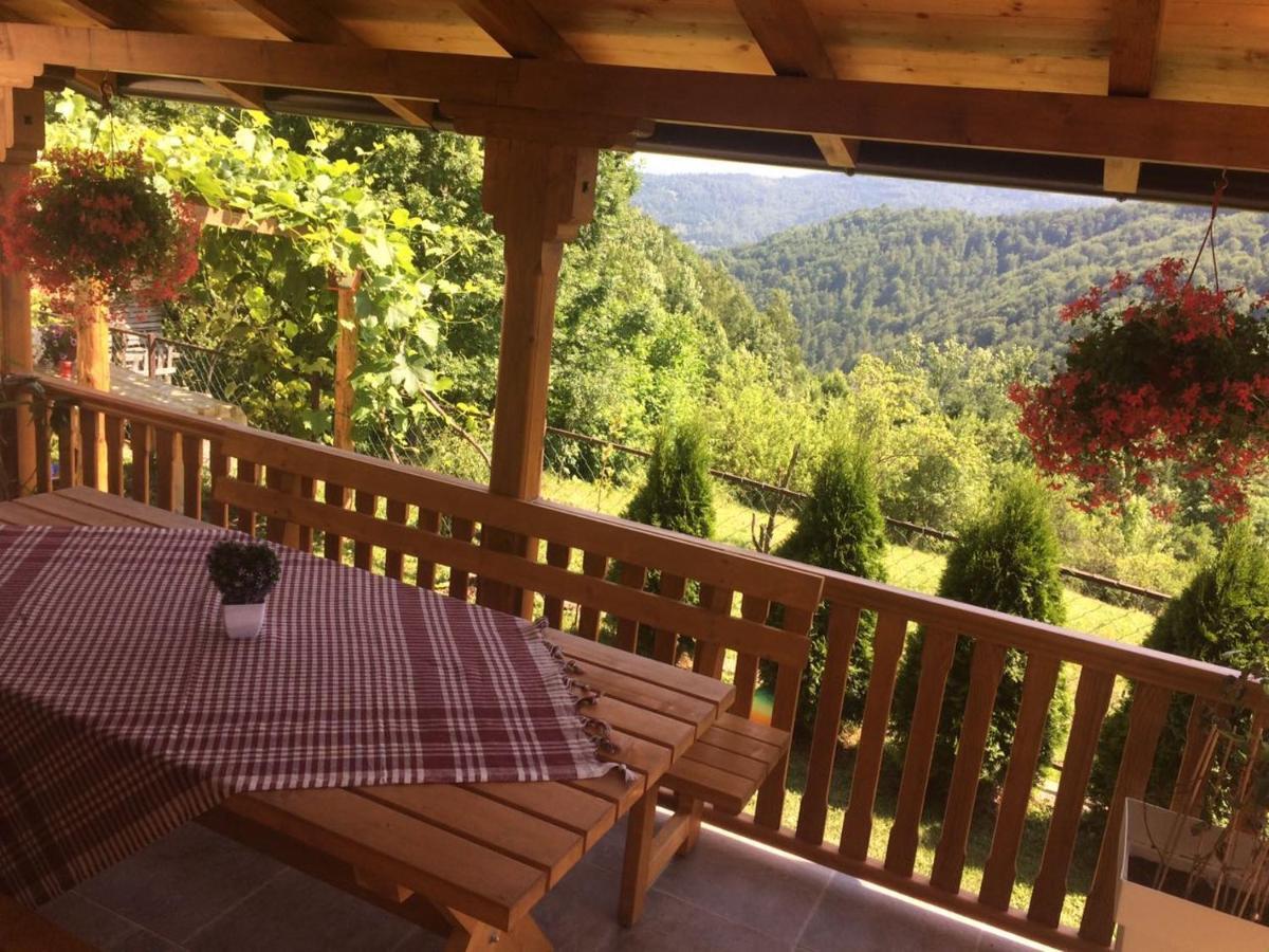 Turizam Koturovic Bed & Breakfast Ivanjica Bagian luar foto