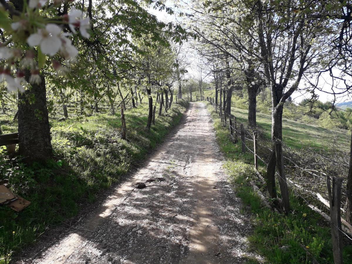 Turizam Koturovic Bed & Breakfast Ivanjica Bagian luar foto